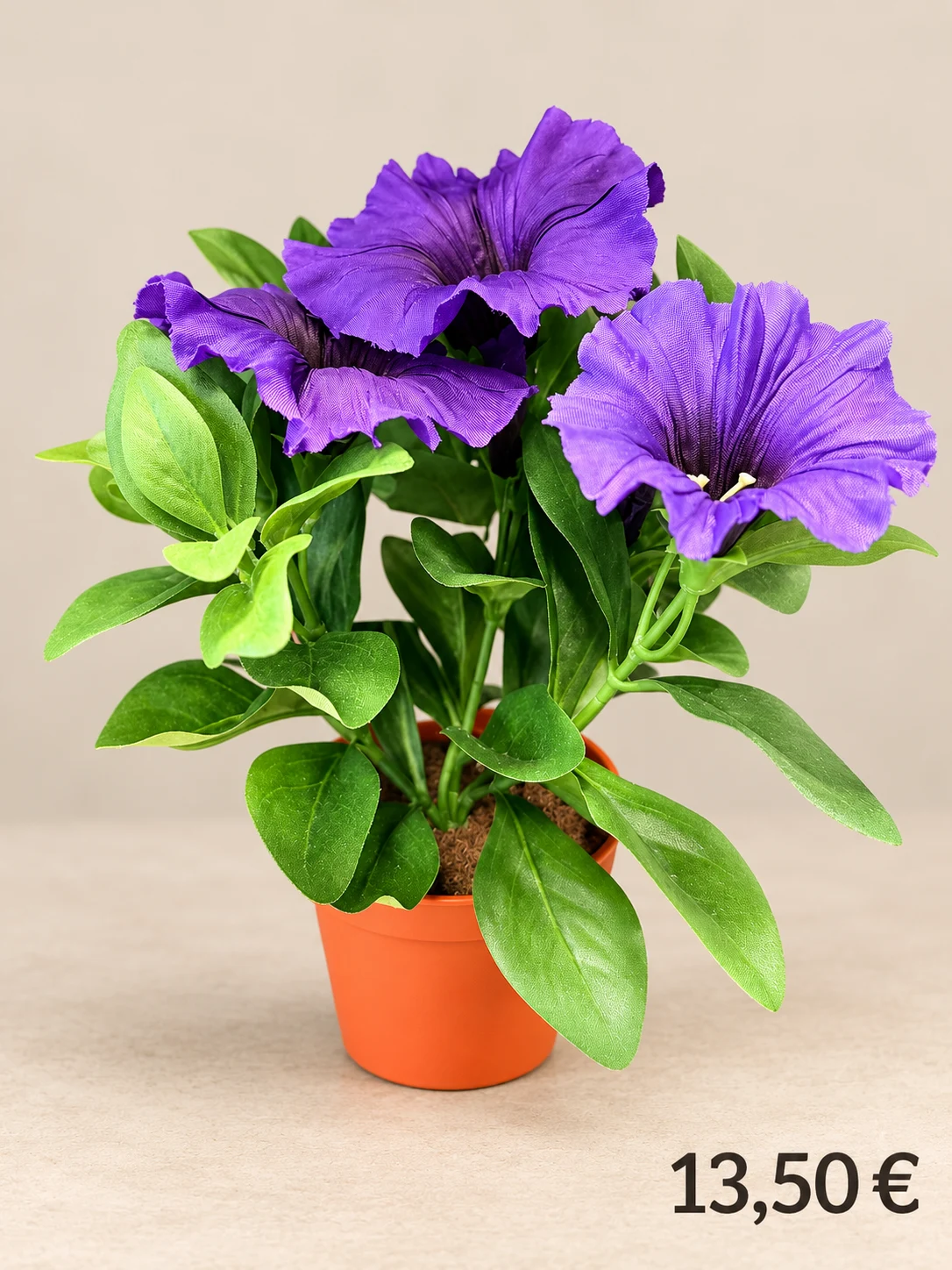 Pétunias violets